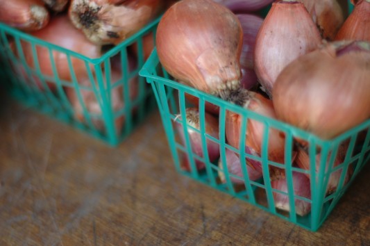 shallots