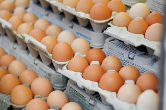 fresh eggs