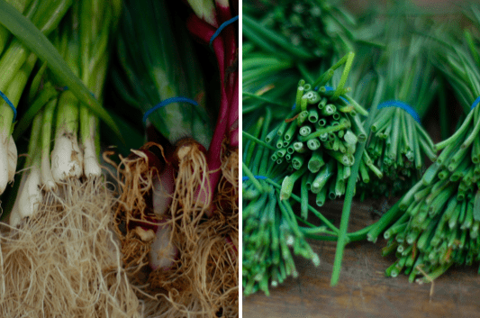 luscious organic greens