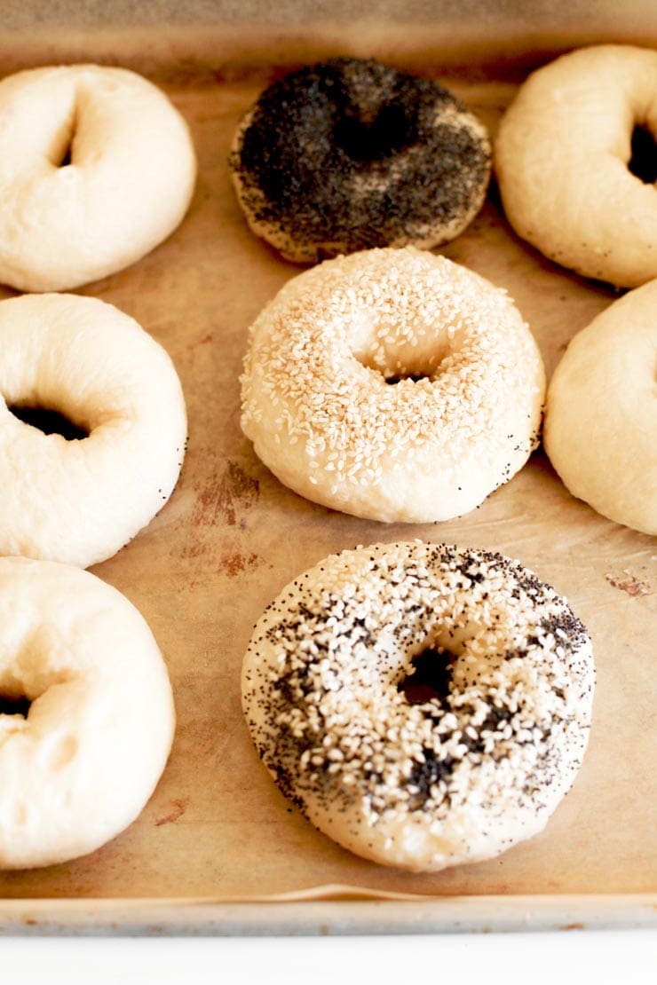 Bagel Toppings